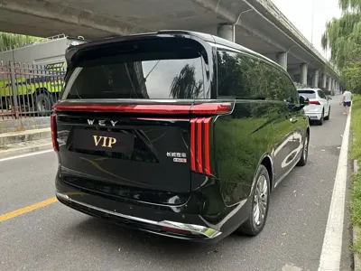 WEY 魏牌 高山新能源