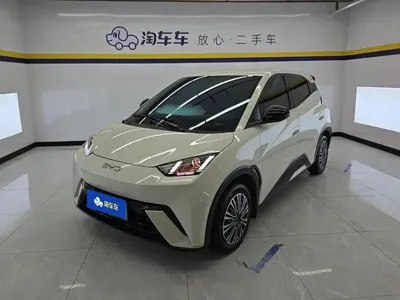 BYD Seagull