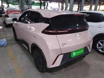 BYD Seagull