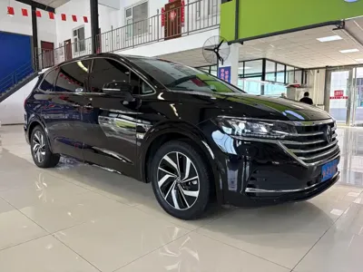 Volkswagen Viloran