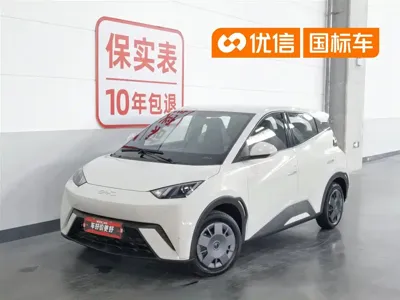 BYD Seagull