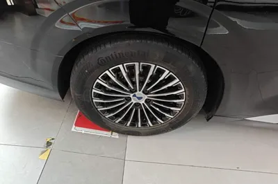 Denza D9