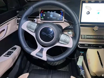BYD Seagull