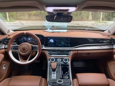 Hongqi Hongqi H9