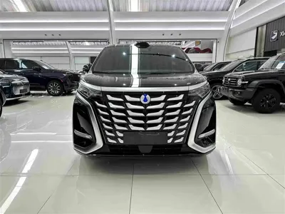 Denza Denza D9
