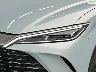 BYD L DM-i