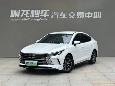BYD Destroyer 05