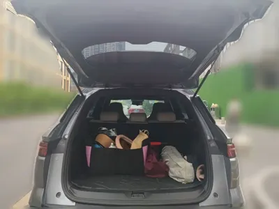 BYD Pro New Energy