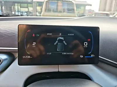 BYD Seagull