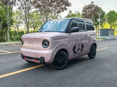 Galaxy Panda