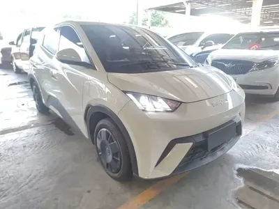 BYD Seagull