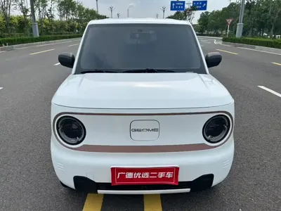 Galaxy Panda