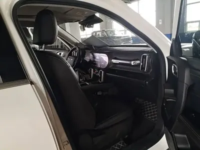 Haval Big Dog