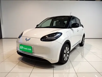 Wuling Bingo