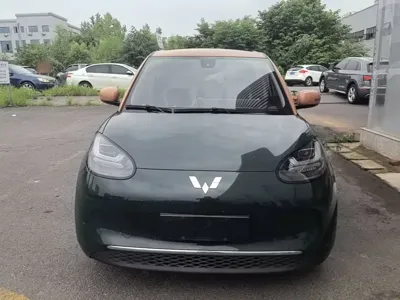 Wuling Bingo
