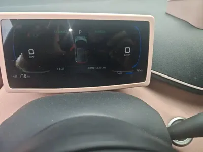 BYD Seagull