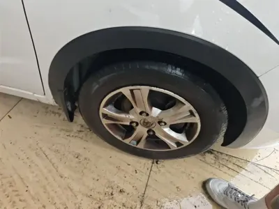 Baojun 310