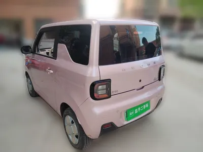 Geely Galaxy Panda