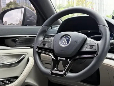 BYD PLUS New Energy
