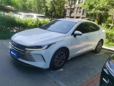 BYD Destroyer 05