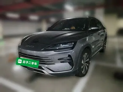 BYD PLUS New Energy