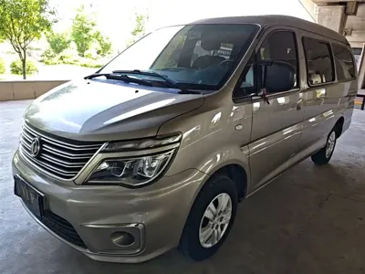 Fengxing Lingzhi