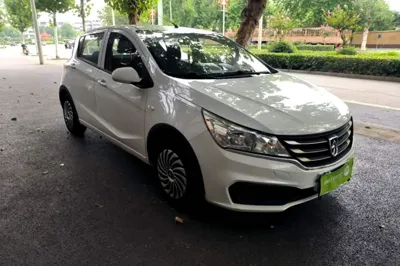 Baojun 310