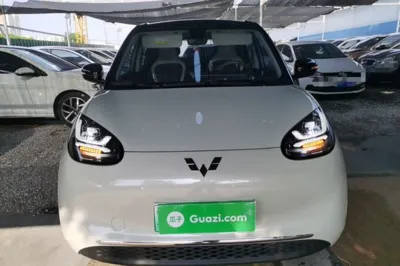 Wuling Bingo