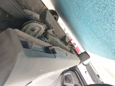 NETA Neta V