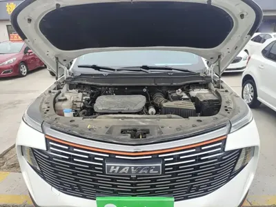 Haval Shenshou