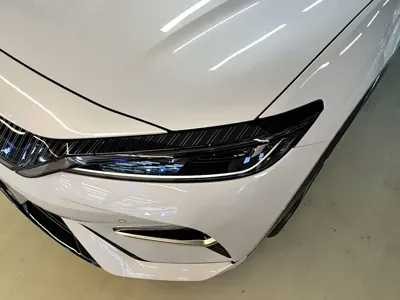 BYD L EV