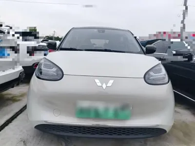 Wuling Bingo