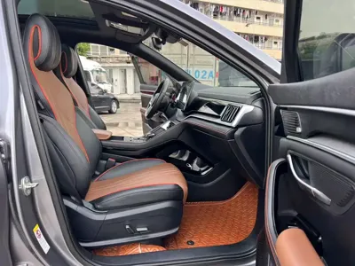 BYD PLUS