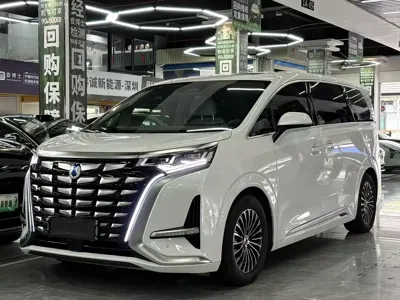 Denza Denza D9