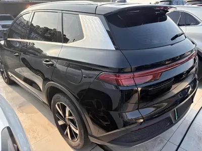 BYD Pro New Energy