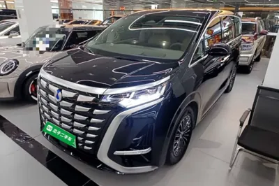 Denza D9