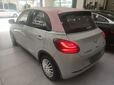 Wuling Bingo