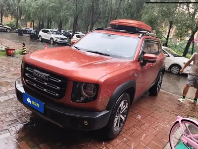 Haval Big Dog