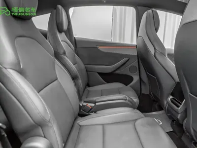 Tesla Model Y L