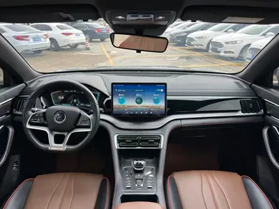 BYD PLUS