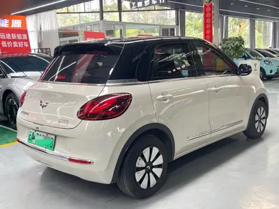 Wuling Bingo