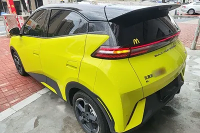 BYD Seagull