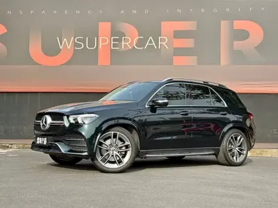 Mercedes-Benz 奔驰GLE(进口)