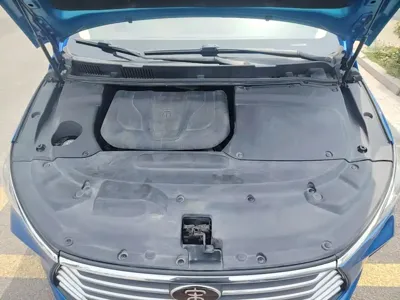BYD MAX