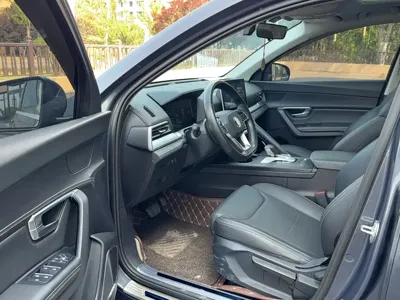 BYD Pro