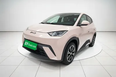 BYD Seagull