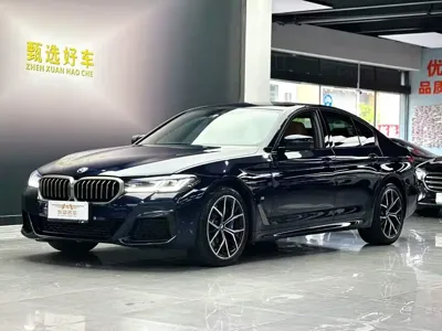 BMW 5 Series (Import)
