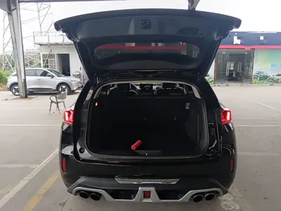 WEY Wey VV7