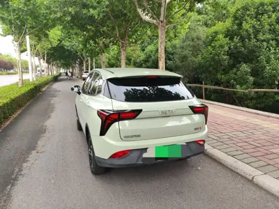 NETA Neta V