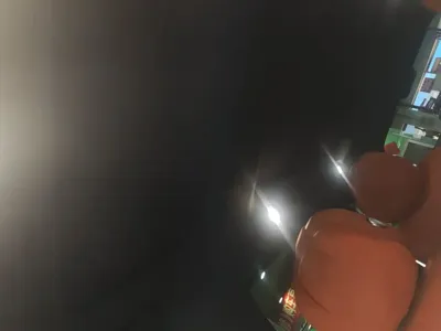 Li Auto Li L8
